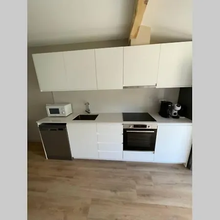 New Construction Penthouse With Pool And Wifi Apartment Osseja